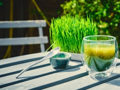 Réalisez votre jus d'herbe d'orge frais !