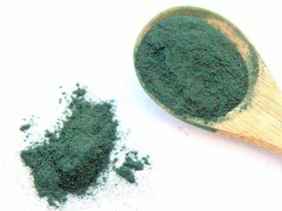 L'apparition de la spiruline