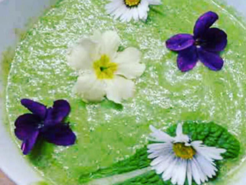 Spinach velouté