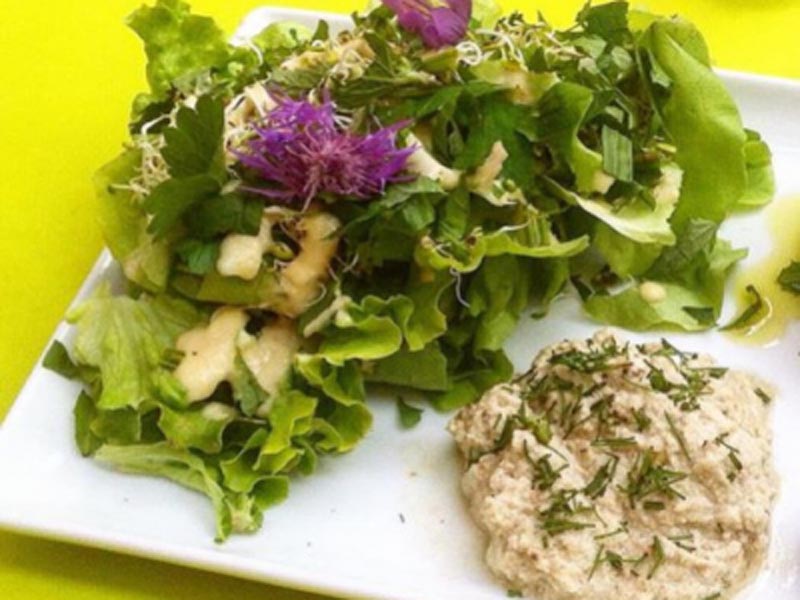 Houmous de tournesol  