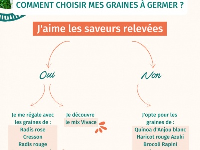 Comment choisir au mieux les graines germées