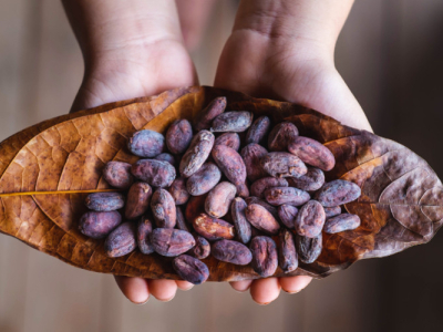 Comment consommer le cacao cru?