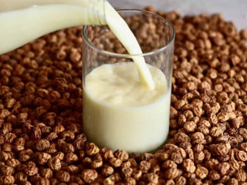 Comment faire son lait végétal maison ?