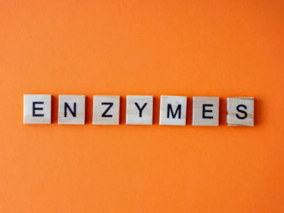 Enzymes: Keys to Digestion and Vitality