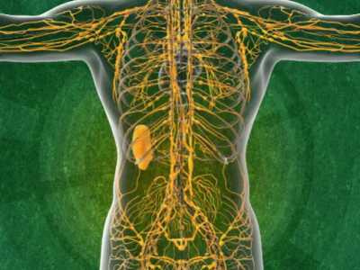 ONE, FLOW o FORGIVE: Quale kit zencleanz scegliere per la tua cura enzimatica?