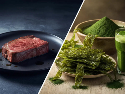 Ferro vegetale: perché le alghe superano la carne rossa