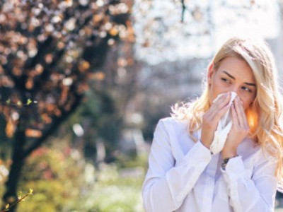 Quelles solutions alimentaires peut on apporter aux allergies ?