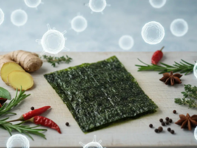 Il nori e le vostre difese immunitarie: rivelazioni scientifiche su questa alga