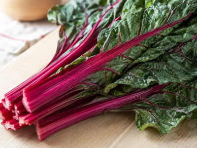 Bette à carde rouge : 9 bienfaits & beauté du jardin