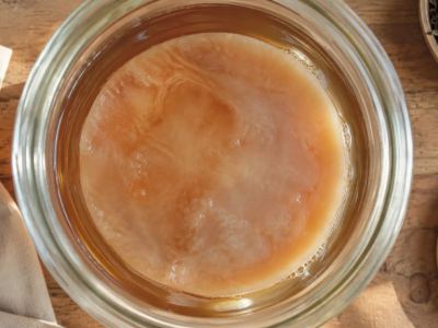 SCOBY kombucha : fabriquer, nourrir et conserver sa mère 